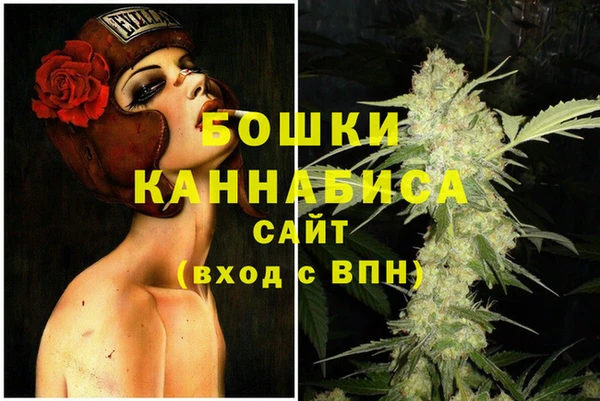 прущие грибы Нефтекумск