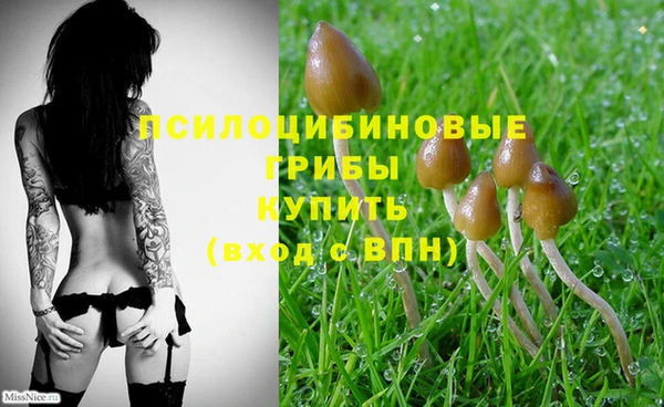 амфетамин Новокубанск