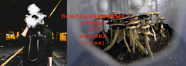 mdpv Новозыбков