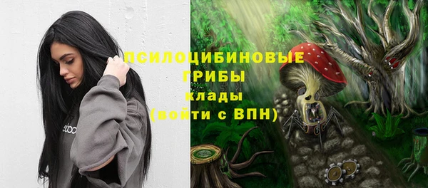 mdpv Новозыбков