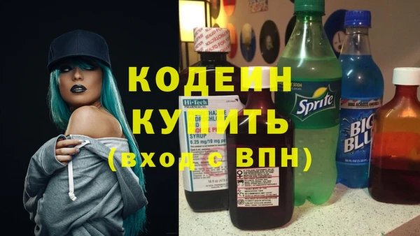 хмурый Нея