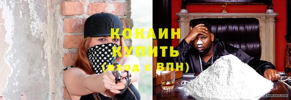 хмурый Дмитриев