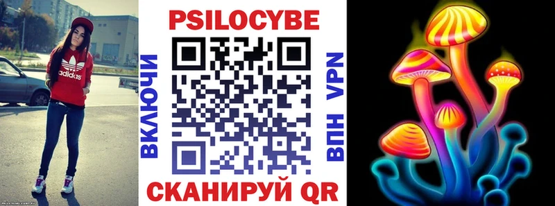 ОМГ ОМГ   Пикалёво  Псилоцибиновые грибы Psilocybine cubensis 